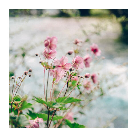 Wonderful Things in Life