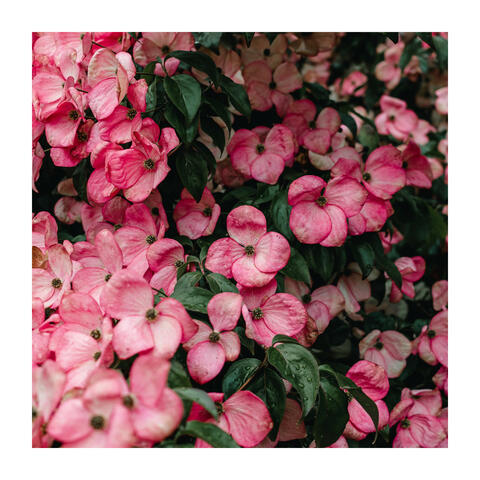 Clear Your Mind With Relaxing Music