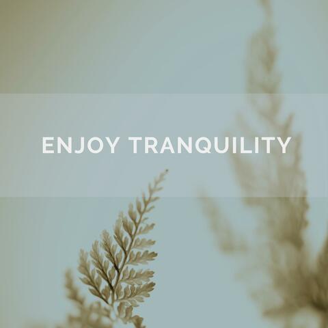 Enjoy Tranquility