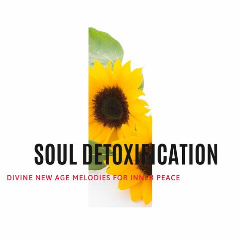 Soul Detoxification - Divine New Age Melodies for Inner Peace