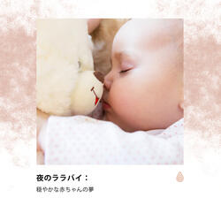森の再生のオアシス