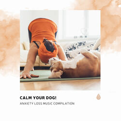 Track for Japanese Summer