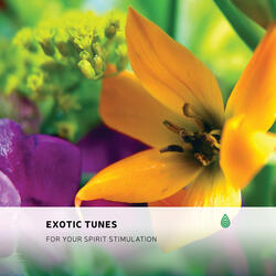 Bright Earth Tunes for Visualization Guru Chakra