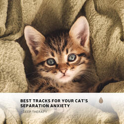 Sunny Hygge Rain over the Water