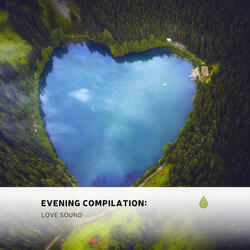 Inspirational Night over the Forest