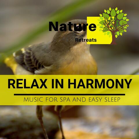 Relax in Harmony - Music for Spa and Easy Sleep