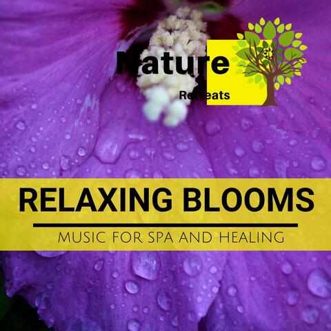Relaxing Blooms - Music for Spa and Healing