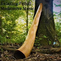 Tribal Drummed Didgeridoo (Ethnic Style)