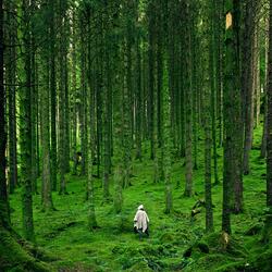 Lovely White Sound para bebés