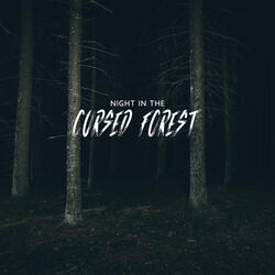 Night in the Cursed Forest