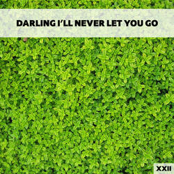 Acoustic Guitar Sound