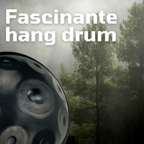 Fascinante hang drum