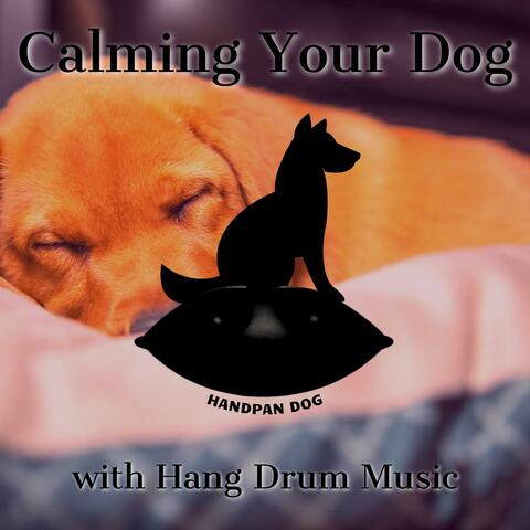 Calming Your Dog with Hang Drum Music