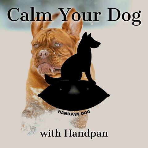 Handpan Dog