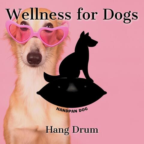 Wellness for Dogs: Hang Drum