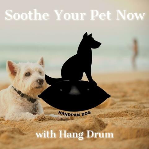 Soothe Your Pet Now with Hang Drum