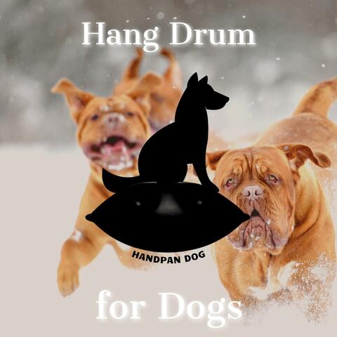 Hang Drum for Dogs