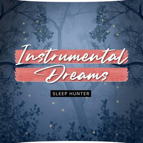 Instrumental Dreams