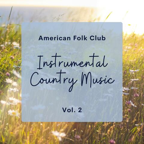 Instrumental Country Music Vol. 2