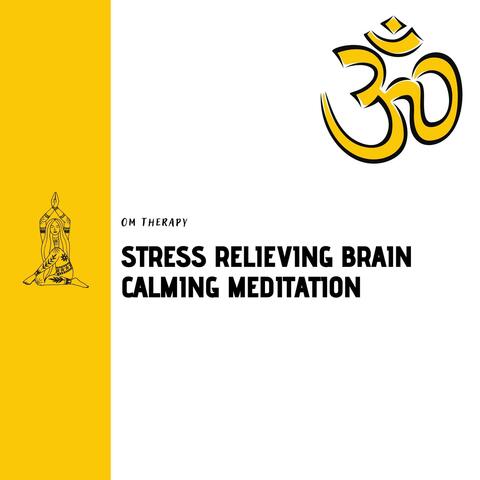 Stress Relieving Brain Calming Meditation