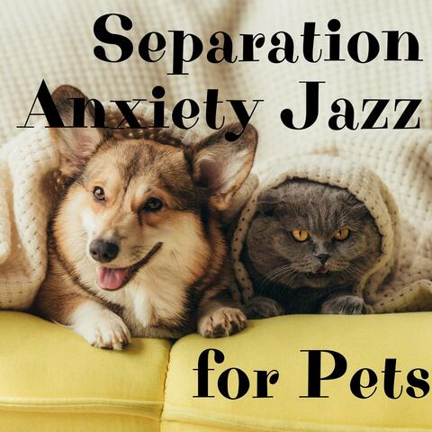 Separation Anxiety Jazz for Pets