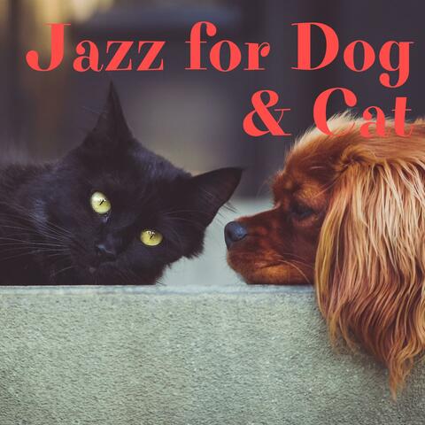 Jazz for Dog & Cat