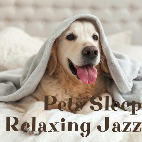 Pets Sleep Relaxing Jazz