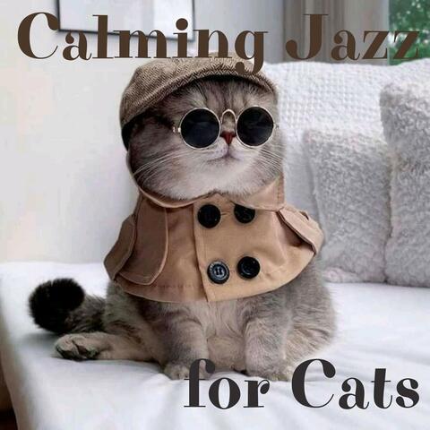 Calming Jazz for Cats