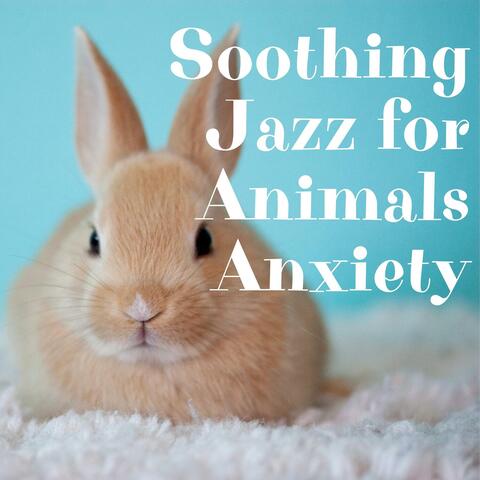 Soothing Jazz for Animals Anxiety