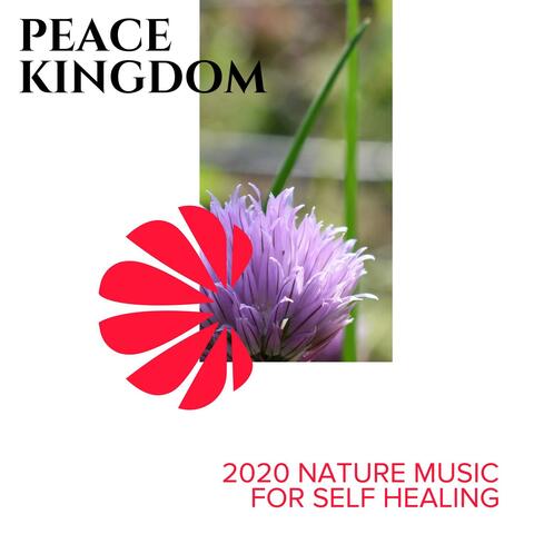 Peace Kingdom - 2020 Nature Music for Self Healing