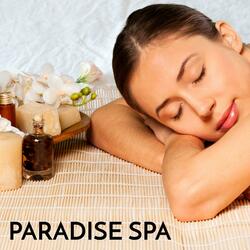 Thankfulness to Happiness