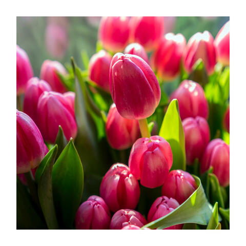 You Deserve Something Special