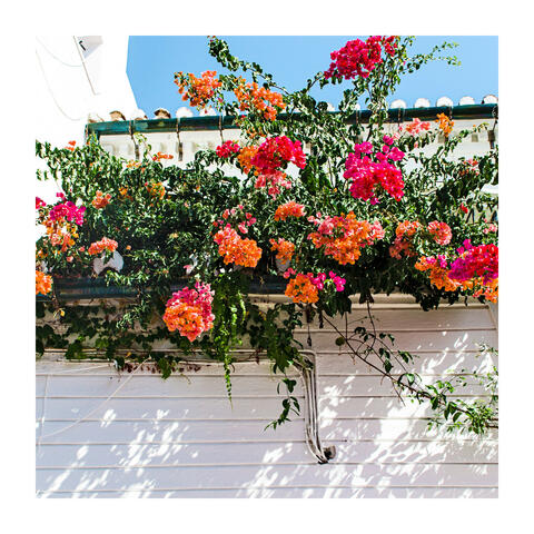 Best Moment for Selfcare