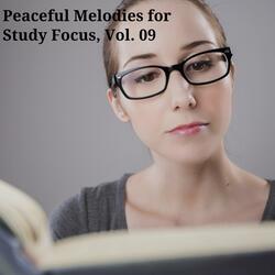 Tender Beer (Solo Piano in D Minor)