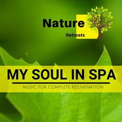 Healing Restorations