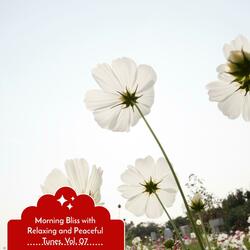 Delicate Minds (Tender Heart)