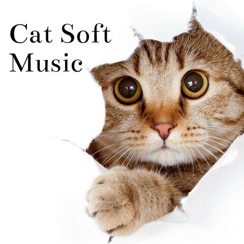 Cat Soft Music