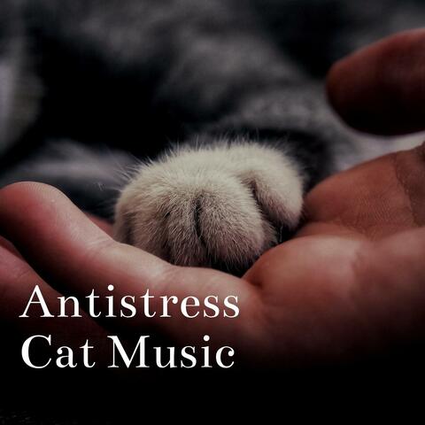 Antistress Cat Music