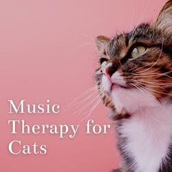 Cat Music for Fireworks and Loud Noises