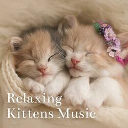 Blissful Melodies