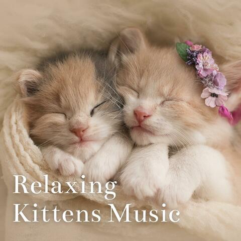 Relaxing Kittens Music