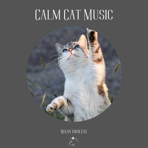 Calm Cat Music