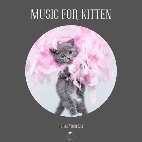 Music for Kitten