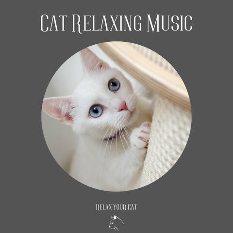 Cat Relaxing Music