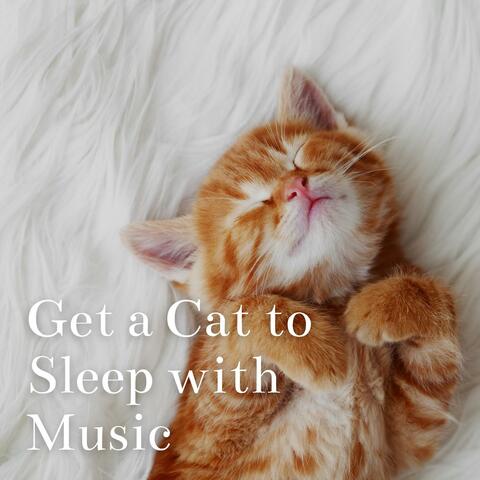 Get a Cat to Sleep with Music