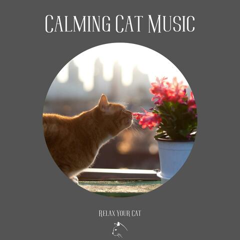 Calming Cat Music