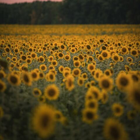 深度睡眠风扇声音