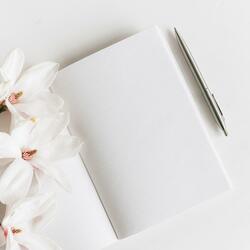 没有褪色的休息白噪声