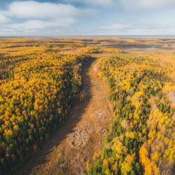 Sleep Zone Ruido para bebés