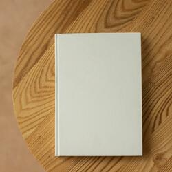 soft noise to quick sleep